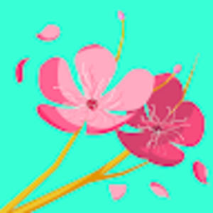 Meet your Posher, Yesica